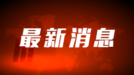 第五人格
