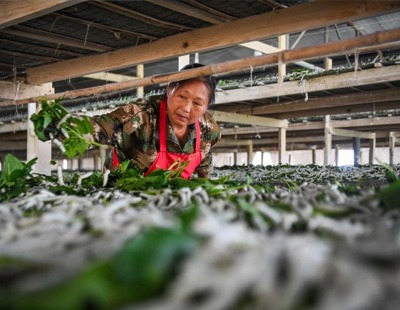 敦促美方立即停止全球范围内网络攻击