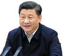 成全影院电视剧国语在线观看《顶楼的大象》