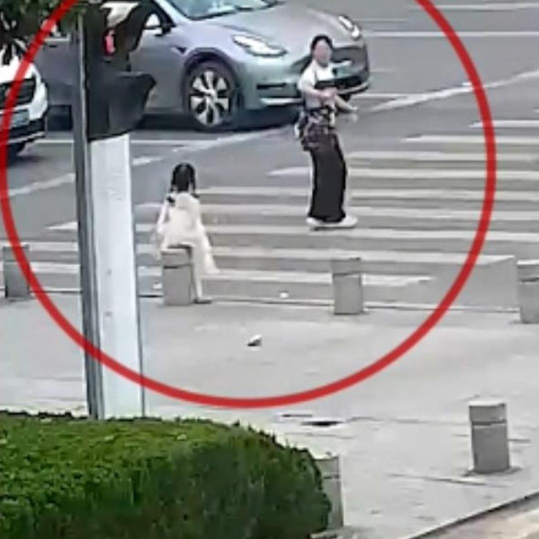 广西发现新物种阳朔风筝果