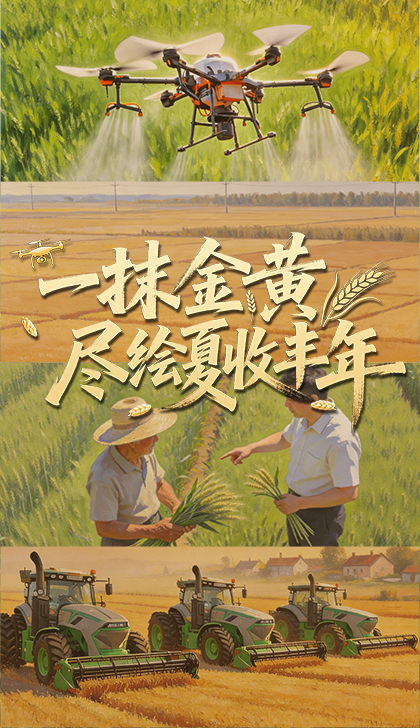 第五人格