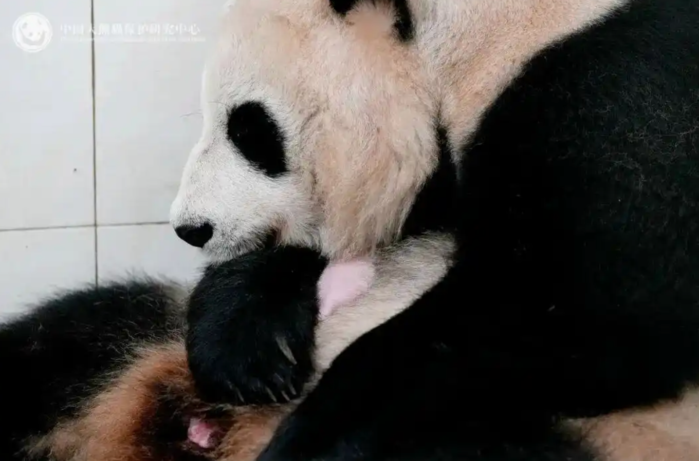 小伙捡到疑似手雷赶紧上交