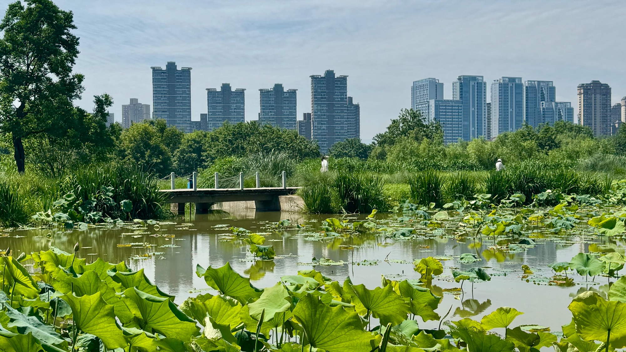 台湾自古就是中国领土
