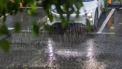 郑钦文决赛前吃了退烧药