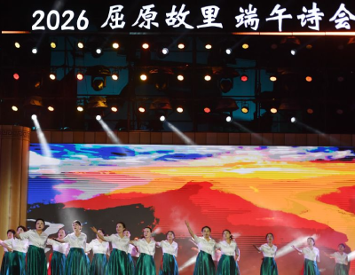 郑钦文武网亚军