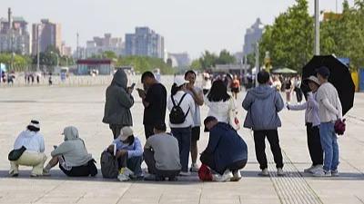 国产短剧已经疯了