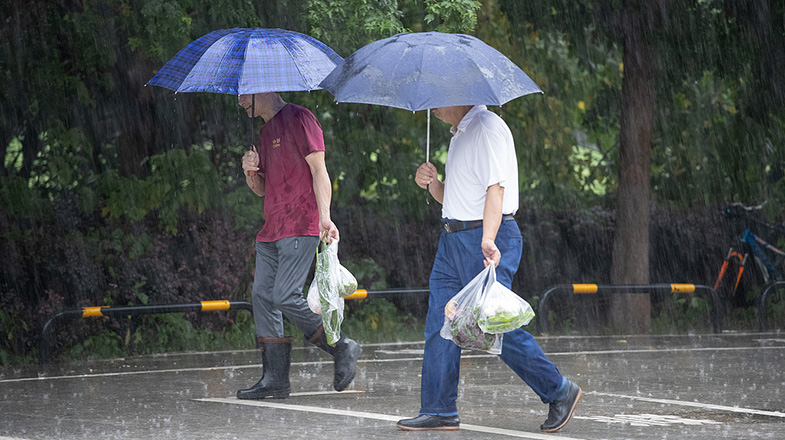 中国人民的好朋友为了友谊跨越山海