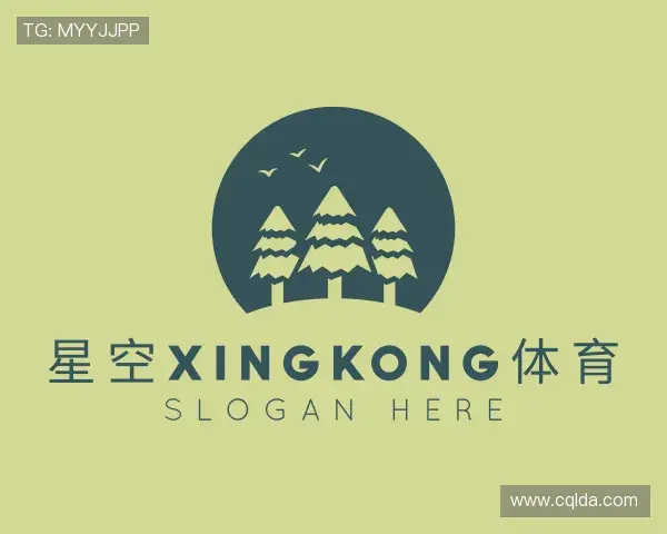 了解xingkong.com