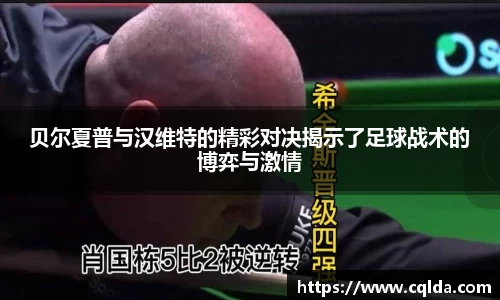 BB贝博