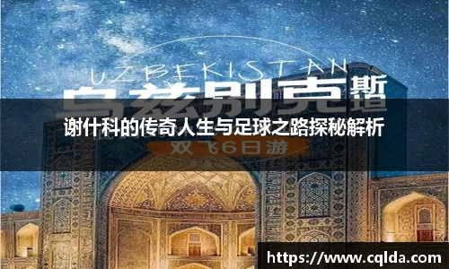 BB贝博登录入口