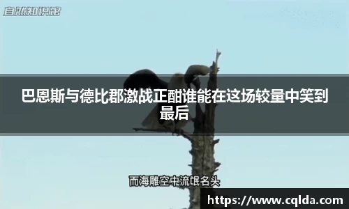 BB贝博