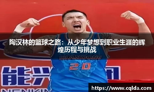 陶汉林的篮球之路：从少年梦想到职业生涯的辉煌历程与挑战