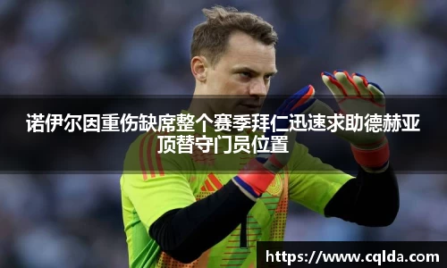 BB贝博登录入口