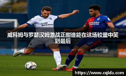 BB贝博登录入口