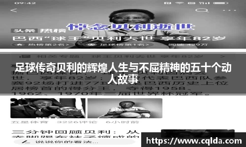BB贝博登录入口