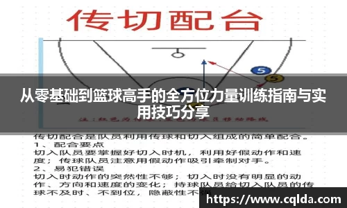 从零基础到篮球高手的全方位力量训练指南与实用技巧分享