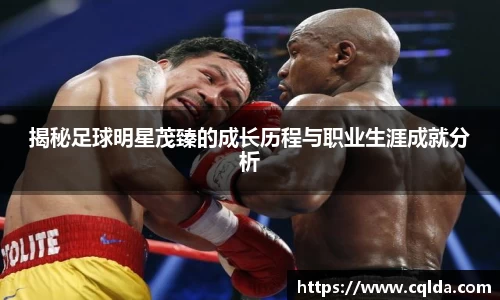 BB贝博登录入口